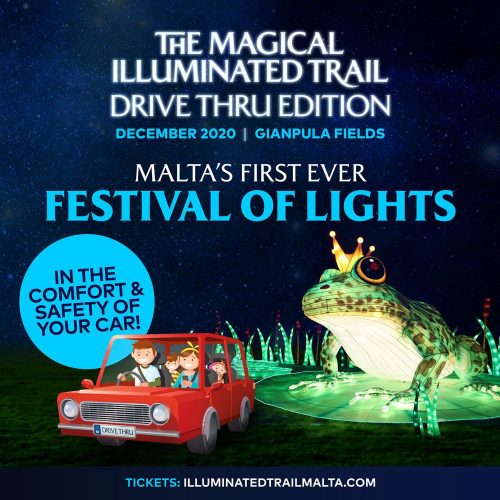 Magical Illuminated Christmas