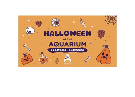 Halloween At The Malta Aquarium